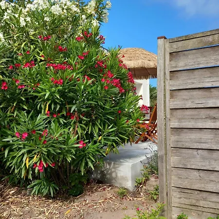 Maison Des Pins Holiday home