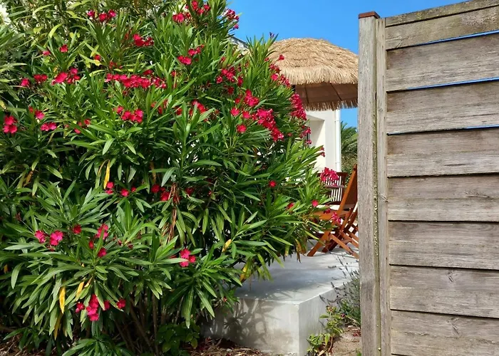 Maison Des Pins Nyaraló